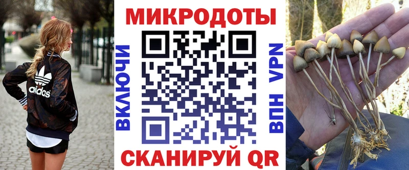 Псилоцибиновые грибы Psilocybine cubensis  Лиски 