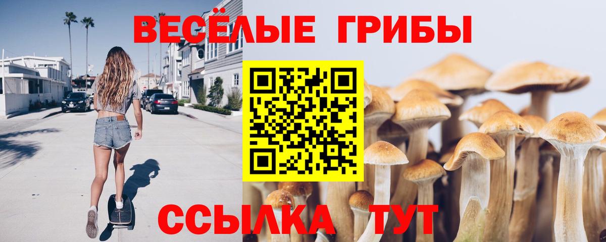 Псилоцибиновые грибы Psilocybe Лиски
